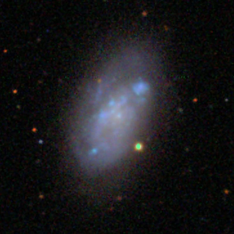 SDSS image of irregular galaxy NGC 4376
