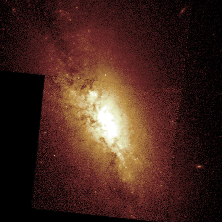 HST image of starburst region in spiral galaxy NGC 4383