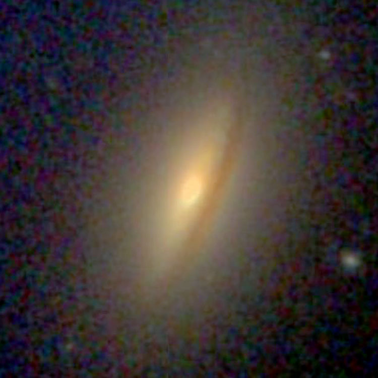 SDSS image of spiral galaxy NGC 442