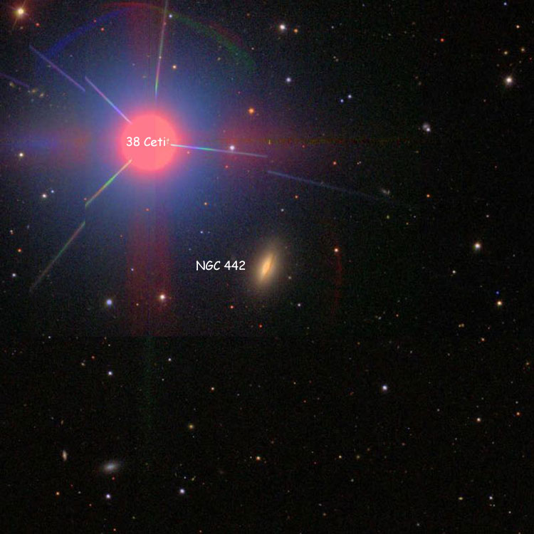SDSS image of region near spiral galaxy NGC 442