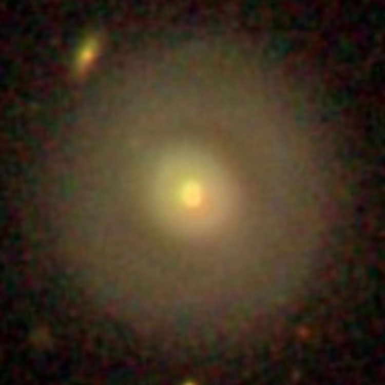 SDSS image of lenticular galaxy NGC 443