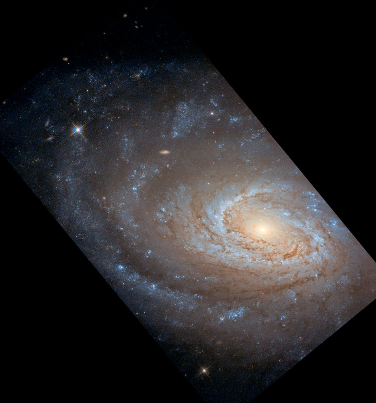 HST image of part of spiral galaxy NGC 4651