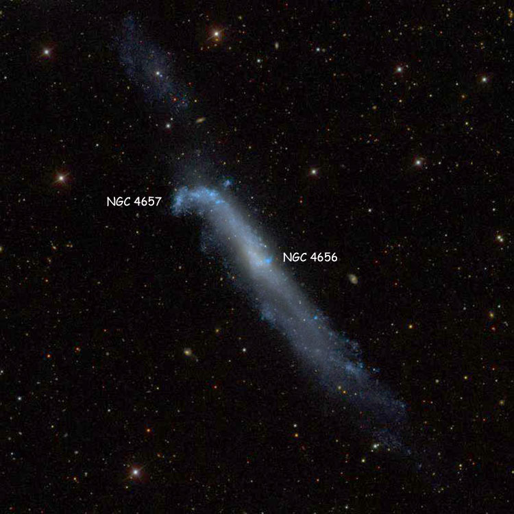 SDSS image of region near spiral galaxy NGC 4656