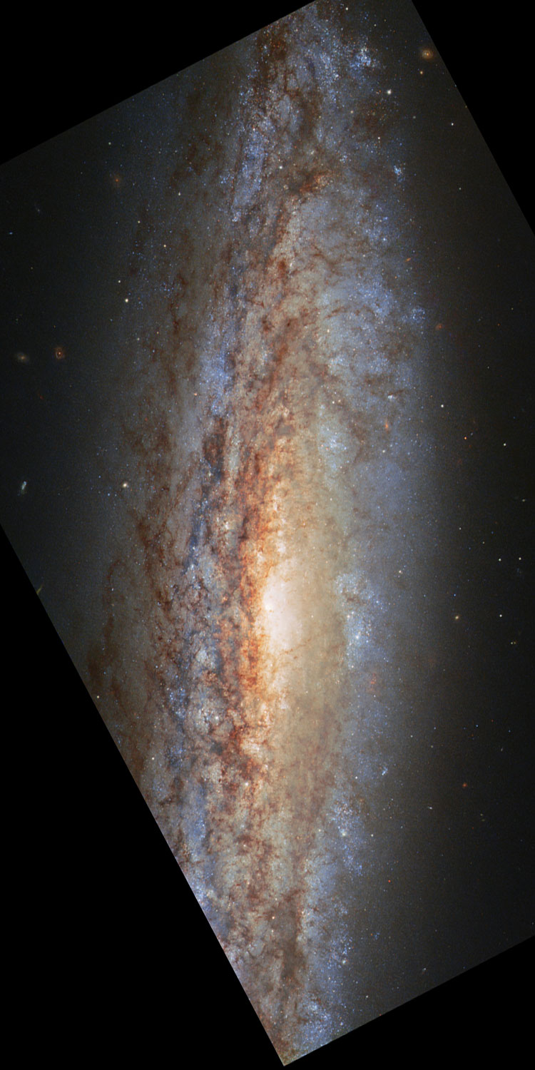 HST image of central portion of spiral galaxy NGC 4666
