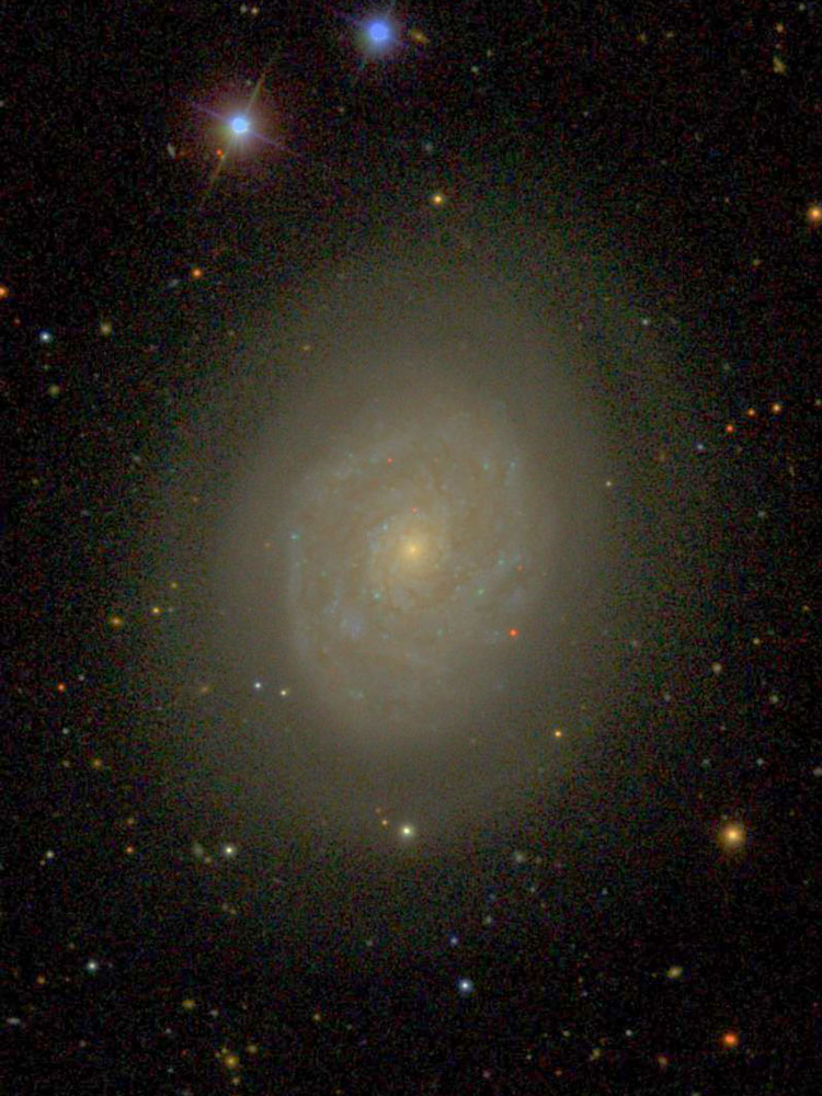 SDSS image of spiral galaxy NGC 4689