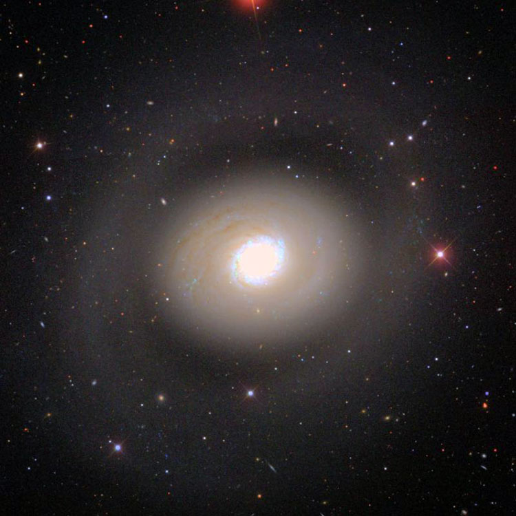 SDSS image of spiral galaxy NGC 4736, also known as M94