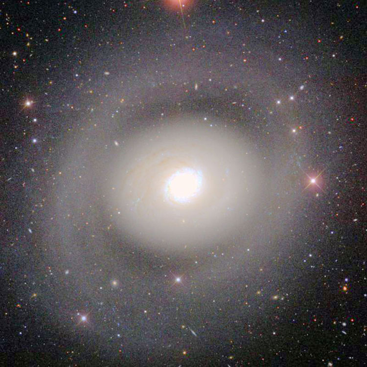 SDSS image of spiral galaxy NGC 4736, also known as M94