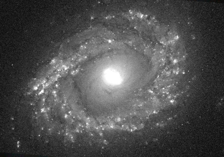 HST image of central portion of spiral galaxy NGC 4750