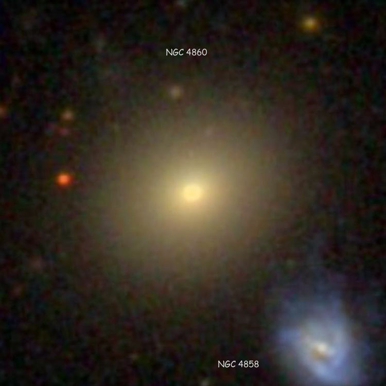 SDSS image of elliptical galaxy NGC 4860, also showing NGC 4858