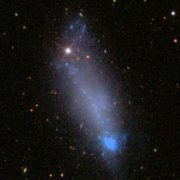 SDSS image of spiral galaxy NGC 4861, also known as Arp 266
