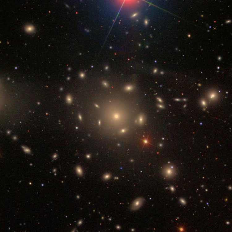 Unlabeled SDSS image of region near elliptical galaxy NGC 4874, showing numerous Coma Cluster galaxies