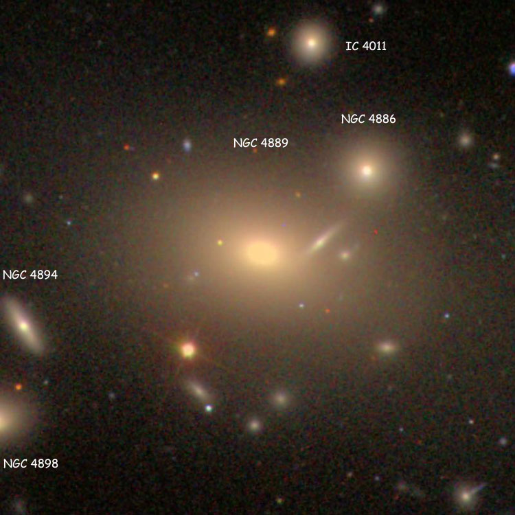SDSS image of elliptical galaxy NGC 4889, also showing lenticular galaxy NGC 4894, elliptical galaxies NGC 4886 and IC 4011, and part of the elliptical pair of galaxies listed as NGC 4898