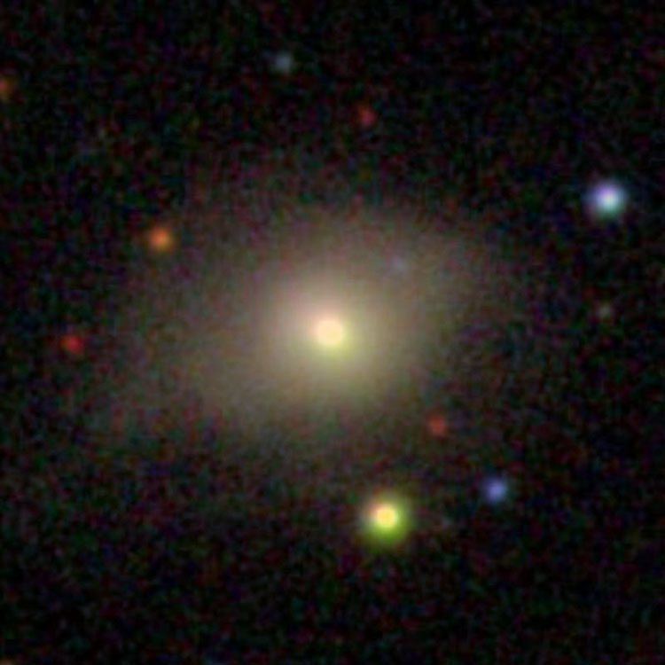 SDSS image of elliptical galaxy NGC 5