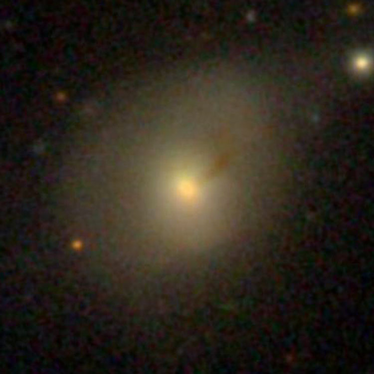 SDSS image of lenticular galaxy NGC 5003