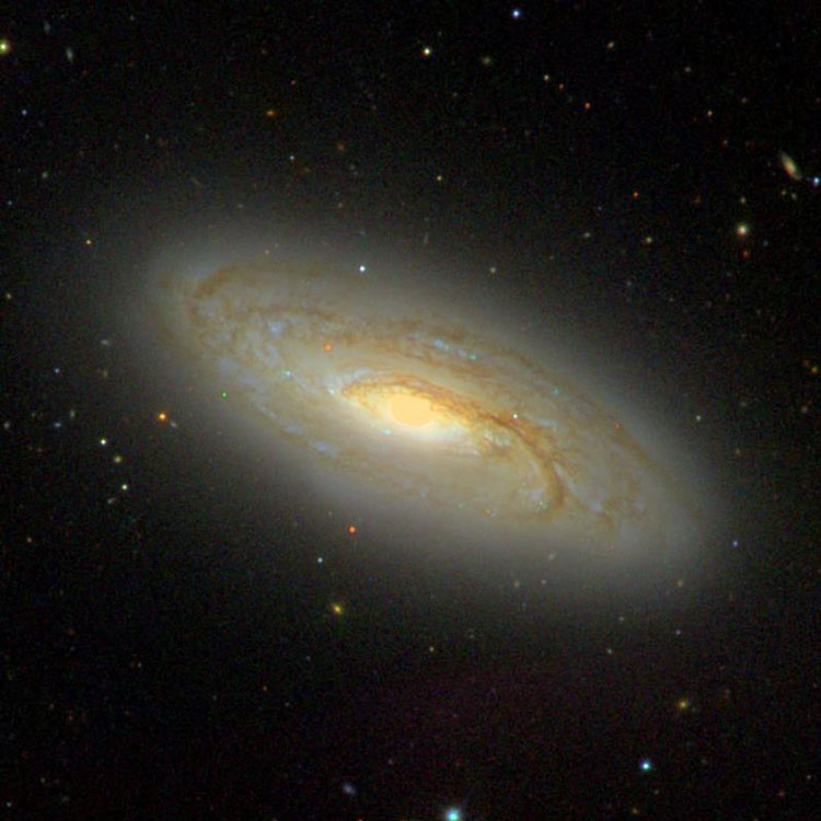 SDSS image of spiral galaxy NGC 5005