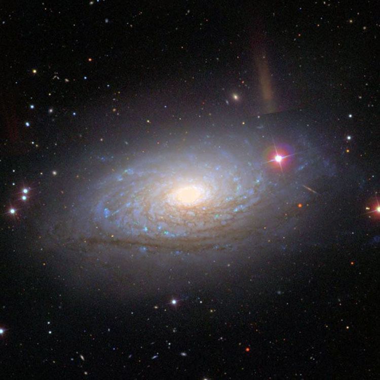 SDSS image of spiral galaxy NGC 5055, also known as M63