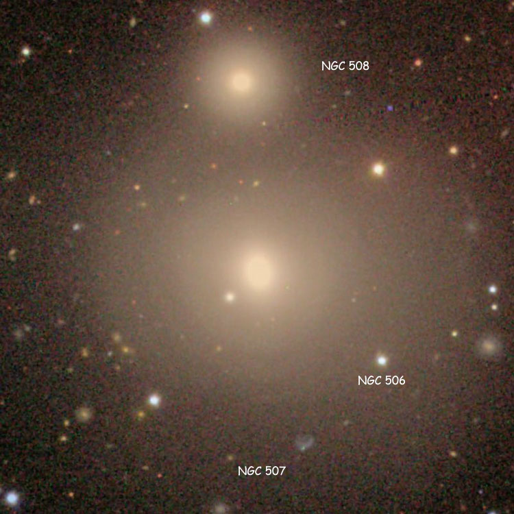 SDSS image of lenticular galaxy NGC 507 (also known as Arp 229), also showing NGC 508 and the star listed as NGC 506