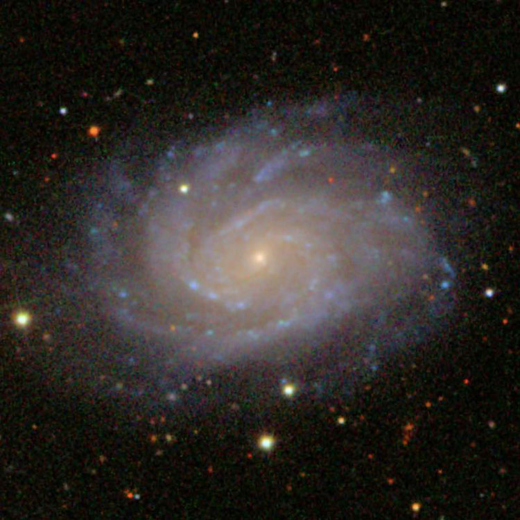SDSS image of spiral galaxy NGC 514