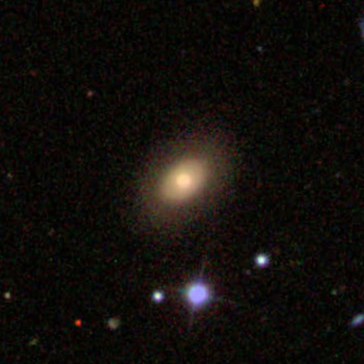 SDSS image of elliptical galaxy NGC 519