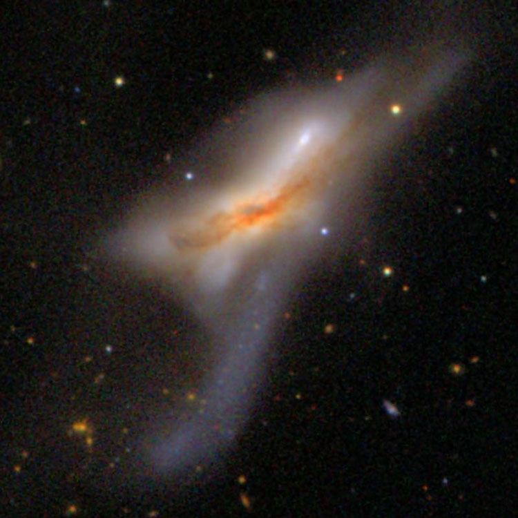 SDSS image of peculiar spiral galaxy NGC 520, also known as Arp 157