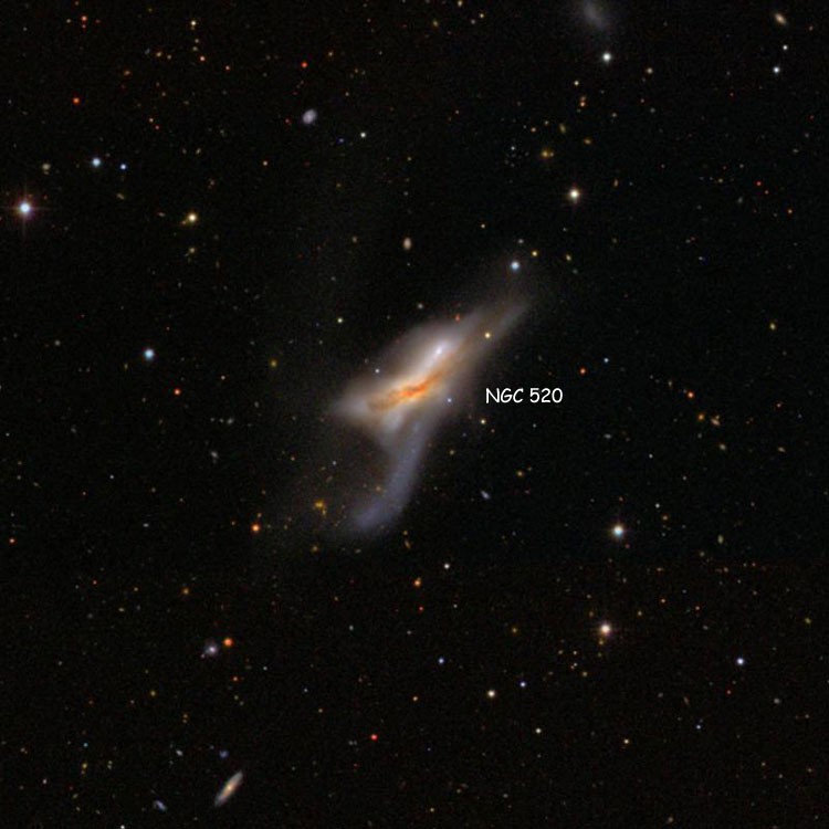 SDSS image of region near peculiar spiral galaxy NGC 520, also known as Arp 157