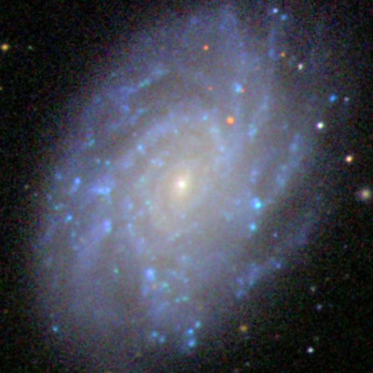 SDSS image of spiral galaxy NGC 5300