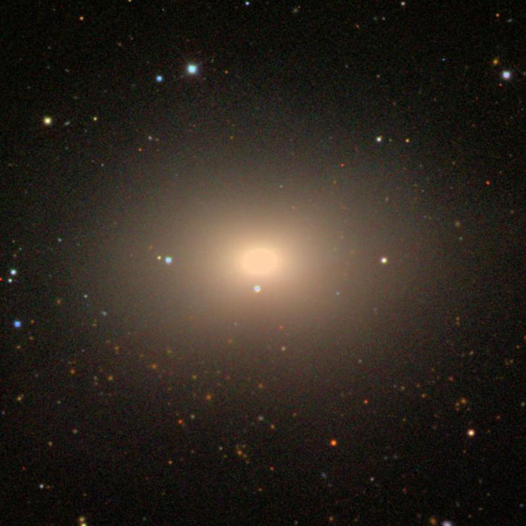SDSS image of elliptical galaxy NGC 5322