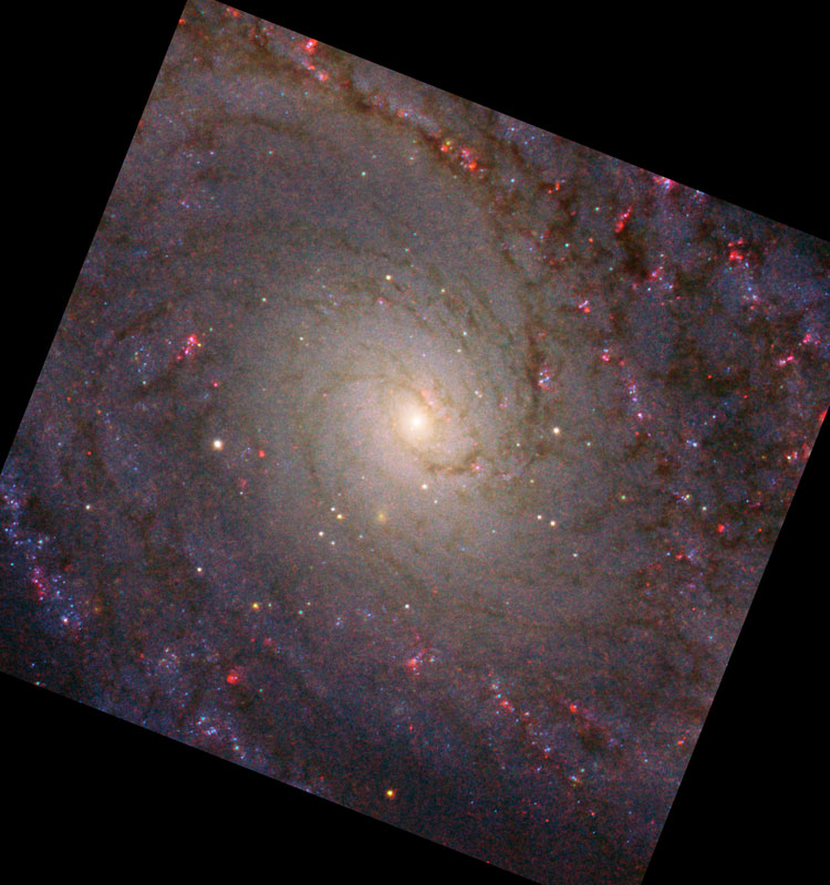 HST image of core of spiral galaxy NGC 5364