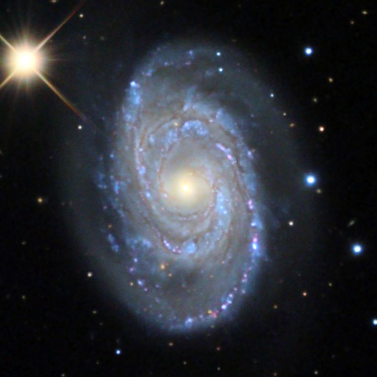 Misti Mountain Observatory image of spiral galaxy NGC 5371