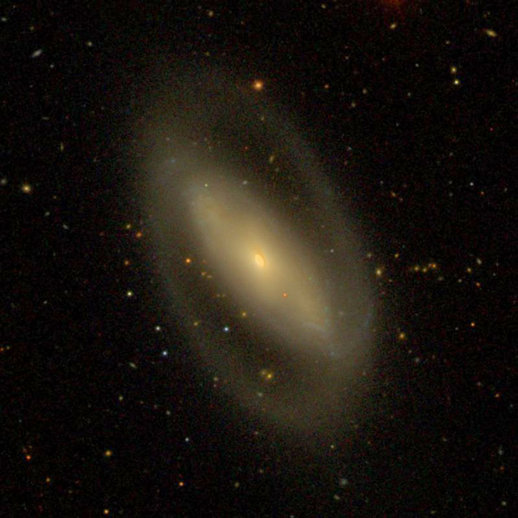 SDSS image of spiral galaxy NGC 5377