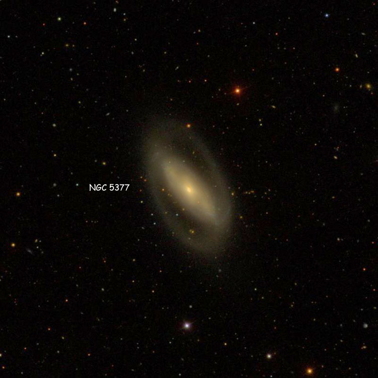 SDSS image of region near spiral galaxy NGC 5377