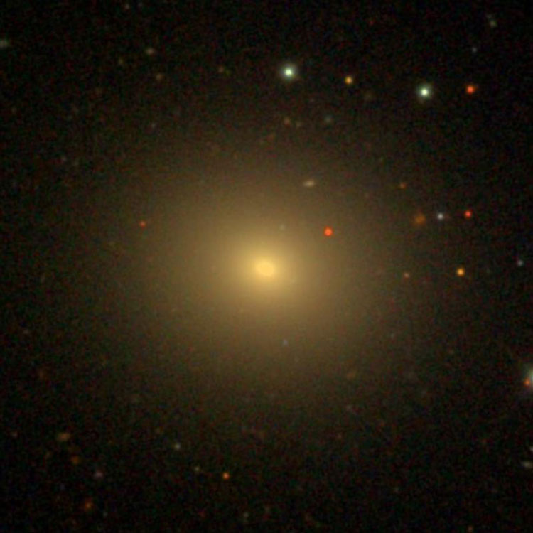 SDSS image of elliptical galaxy NGC 5444
