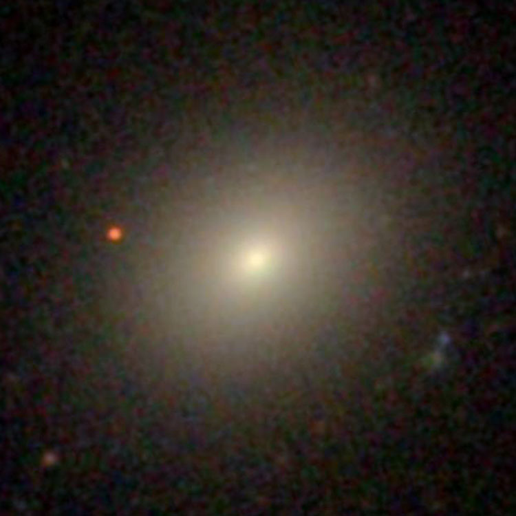 SDSS image of elliptical galaxy NGC 5500