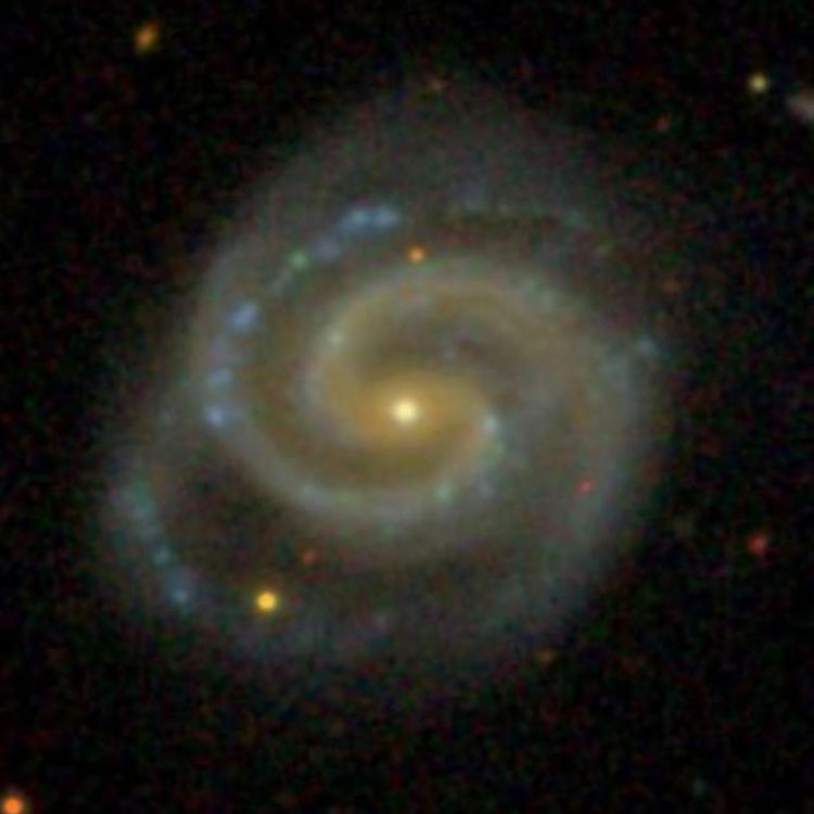 SDSS image of spiral galaxy NGC 5504