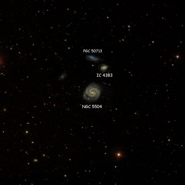 SDSS image of region near spiral galaxy NGC 5504, also showing IC 4383 and PGC 50713