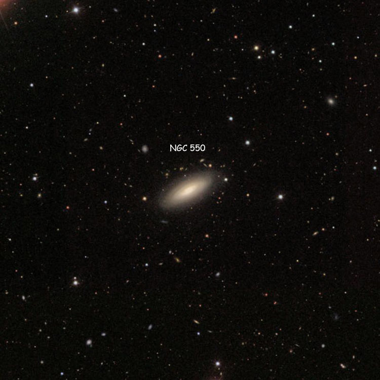 SDSS image of region near spiral galaxy NGC 550