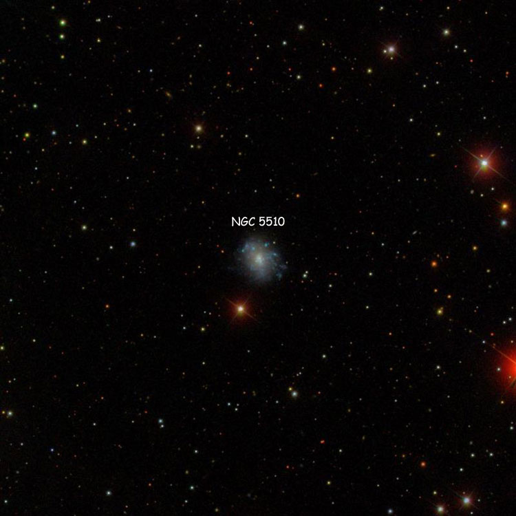 SDSS image of region near irregular galaxy NGC 5510