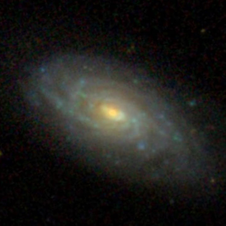 SDSS image of spiral galaxy NGC 5520