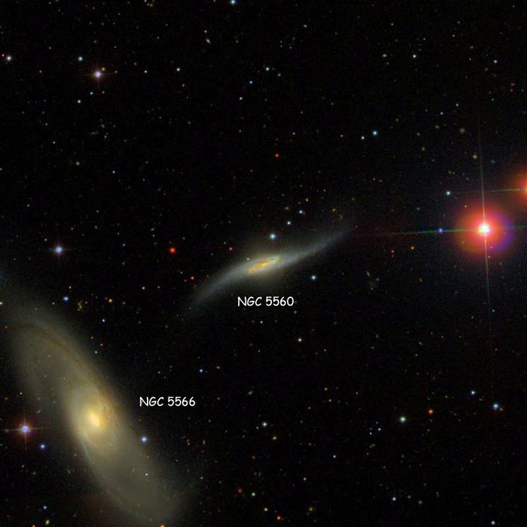 SDSS image of region near spiral galaxy NGC 5560, part of Arp 286, also showing NGC 5566