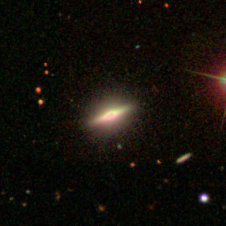 SDSS image of elliptical galaxy NGC 558