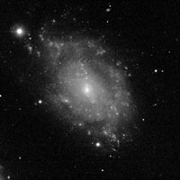 de Vaucouleurs Atlas of Galaxies image of NGC 5585
