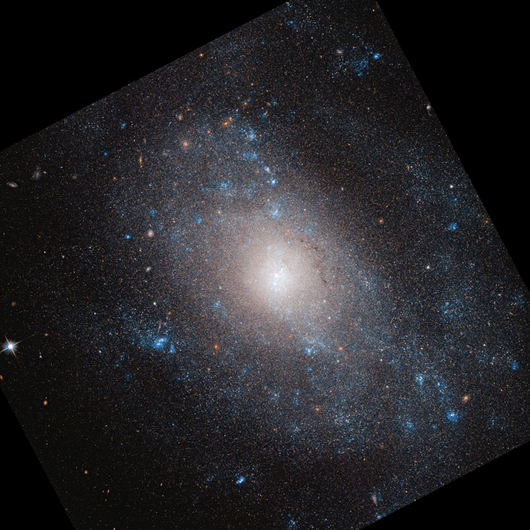 SDSS image of spiral galaxy NGC 5585