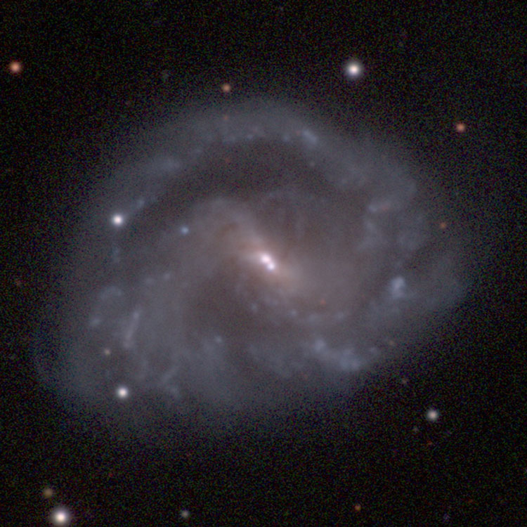 Carnegie-Irvine Galaxy Survey image of spiral galaxy NGC 5597