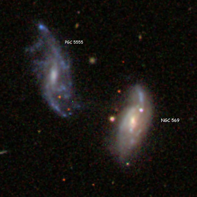 SDSS image of spiral galaxy NGC 569 and PGC 5555