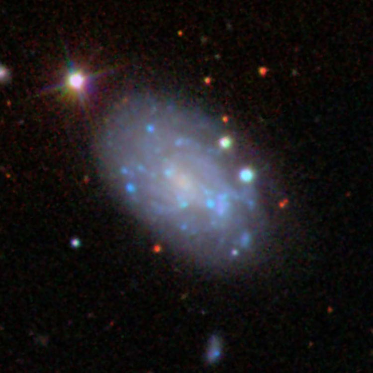 SDSS image of irregular galaxy NGC 5798