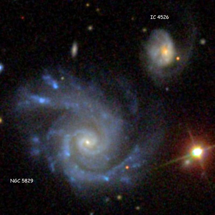SDSS image of spiral galaxies NGC 5829 and IC 4526, which comprise Arp 42, and are part of Hickson Compact Group 73