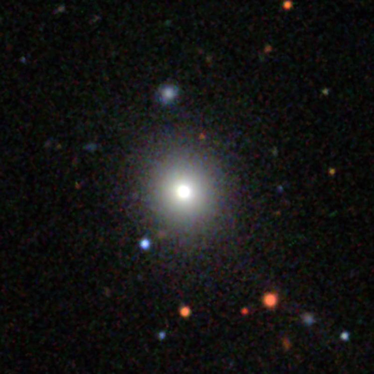 SDSS image of compact galaxy NGC 5862