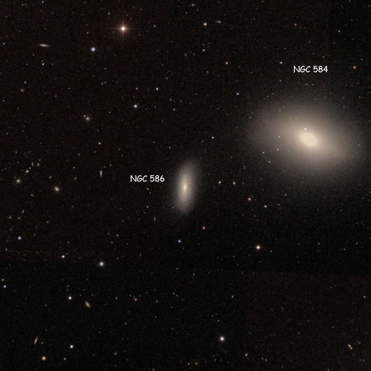 SDSS image of region near spiral galaxy NGC 586, also showing NGC 584