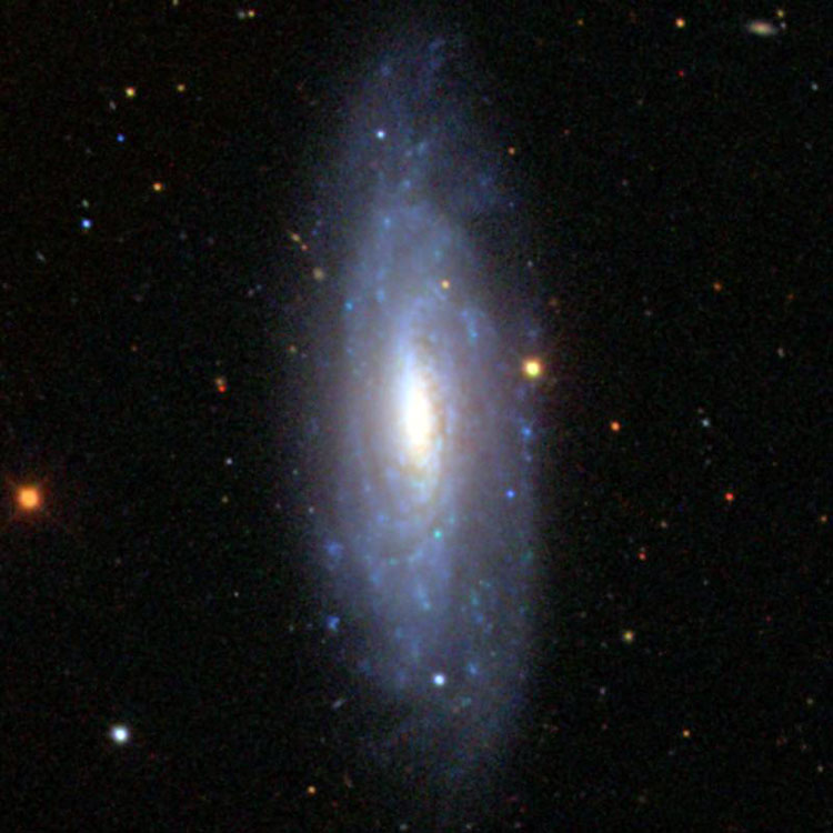 SDSS image of spiral galaxy NGC 5879