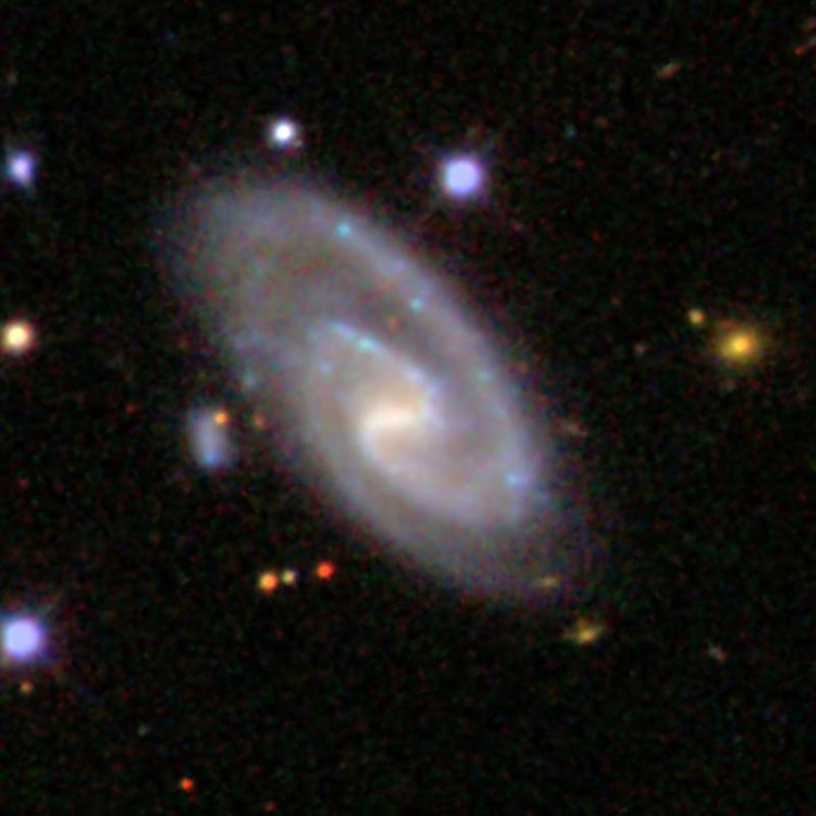 SDSS image of spiral galaxy NGC 5950